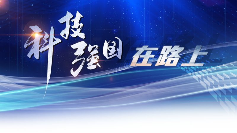 Java技术外包公司对比：关键考量与趋势分析