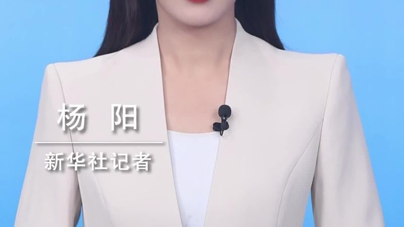 软件定制开发项目报价单模板：揭秘定制化软件开发背后的逻辑